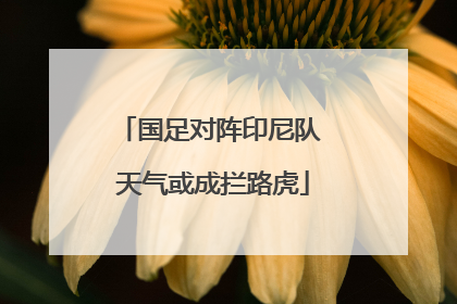 国足对阵印尼队 天气或成拦路虎