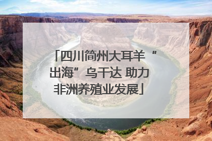 四川简州大耳羊“出海”乌干达 助力非洲养殖业发展