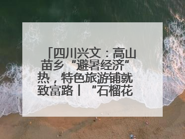 四川兴文：高山苗乡“避暑经济”热，特色旅游铺就致富路丨“石榴花开”四川行⑧