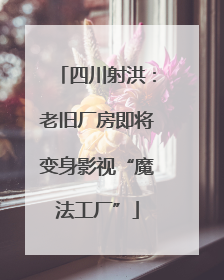 四川射洪：老旧厂房即将变身影视“魔法工厂”