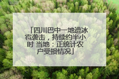 四川巴中一地遭冰雹袭击，持续约半小时 当地：正统计农户受损情况