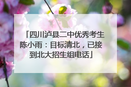 四川泸县二中优秀考生陈小雨：目标清北，已接到北大招生组电话
