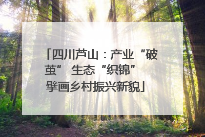 四川芦山：产业“破茧” 生态“织锦” 擘画乡村振兴新貌