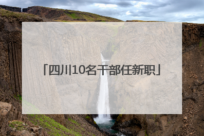 四川10名干部任新职