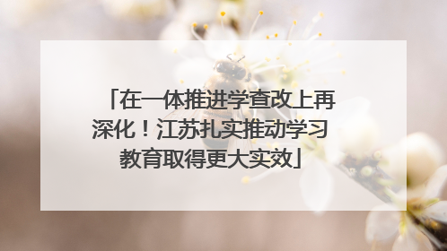 在一体推进学查改上再深化！江苏扎实推动学习教育取得更大实效