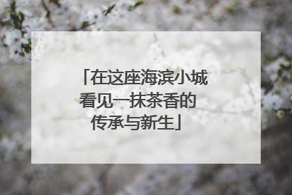 在这座海滨小城 看见一抹茶香的传承与新生