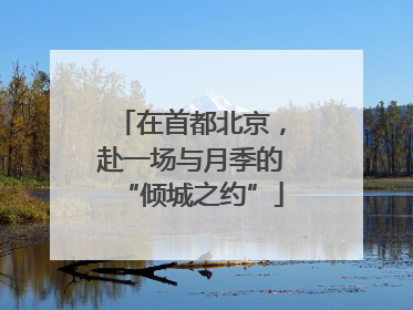 在首都北京，赴一场与月季的“倾城之约”