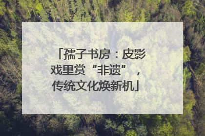 孺子书房：皮影戏里赏“非遗”，传统文化焕新机