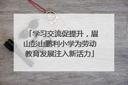 学习交流促提升，眉山彭山鹏利小学为劳动教育发展注入新活力