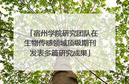 宿州学院研究团队在生物传感领域顶级期刊发表多篇研究成果