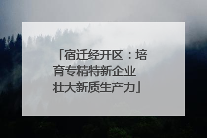 宿迁经开区：培育专精特新企业 壮大新质生产力