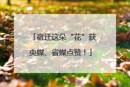 宿迁这朵“花”获央媒、省媒点赞！
