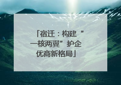 宿迁：构建“一核两翼”护企优商新格局