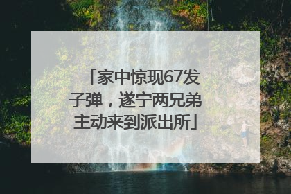 家中惊现67发子弹，遂宁两兄弟主动来到派出所