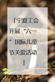 宁夏工会开展“六一”国际儿童节关爱活动
