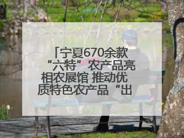 宁夏670余款“六特”农产品亮相农展馆 推动优质特色农产品“出宁进京”
