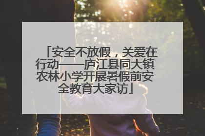 安全不放假，关爱在行动——庐江县同大镇农林小学开展暑假前安全教育大家访