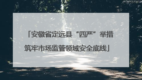 安徽省定远县“四严”举措筑牢市场监管领域安全底线