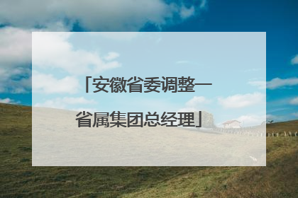安徽省委调整一省属集团总经理