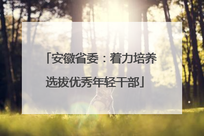 安徽省委：着力培养选拔优秀年轻干部