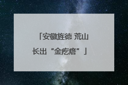 安徽旌德 荒山长出“金疙瘩”