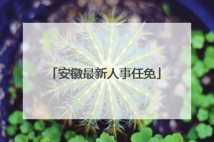 安徽最新人事任免
