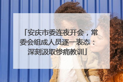 安庆市委连夜开会，常委会组成人员逐一表态：深刻汲取惨痛教训