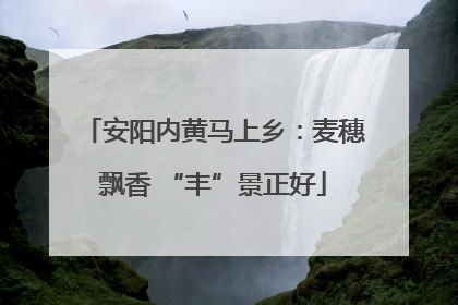 安阳内黄马上乡：麦穗飘香 “丰”景正好