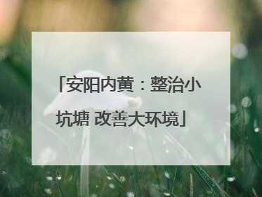 安阳内黄：整治小坑塘 改善大环境