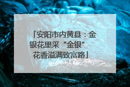 安阳市内黄县：金银花里采“金银” 花香溢满致富路