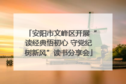 安阳市文峰区开展“读经典悟初心 守党纪树新风”读书分享会