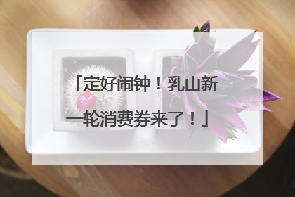 定好闹钟！乳山新一轮消费券来了！