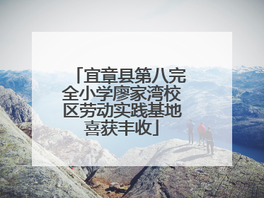 宜章县第八完全小学廖家湾校区劳动实践基地喜获丰收