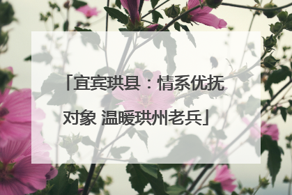 宜宾珙县：情系优抚对象 温暖珙州老兵