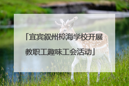 宜宾叙州樟海学校开展教职工趣味工会活动