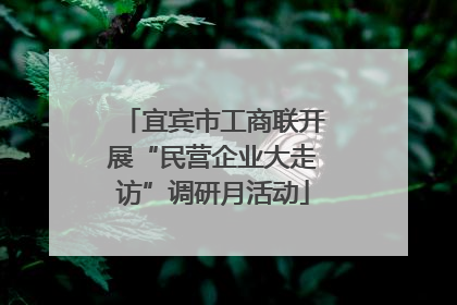 宜宾市工商联开展“民营企业大走访”调研月活动