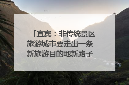 宜宾：非传统景区旅游城市要走出一条新旅游目的地新路子｜话锦绣·说安逸