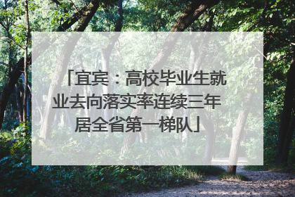 宜宾：高校毕业生就业去向落实率连续三年居全省第一梯队