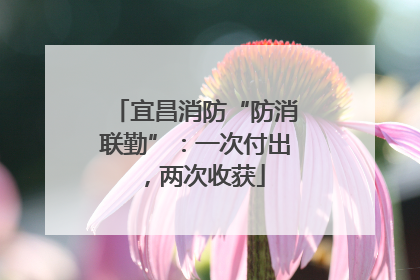 宜昌消防“防消联勤”：一次付出，两次收获
