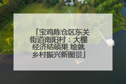 宝鸡陈仓区东关街道南阳村：大棚经济结硕果 绘就乡村振兴新图景