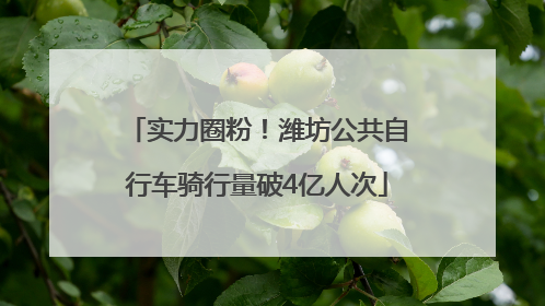 实力圈粉！潍坊公共自行车骑行量破4亿人次