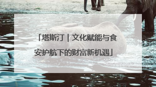 塔斯汀｜文化赋能与食安护航下的财富新机遇