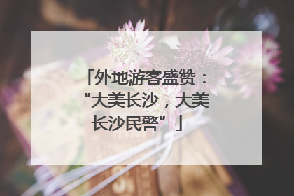 外地游客盛赞：“大美长沙，大美长沙民警”