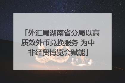外汇局湖南省分局以高质效外币兑换服务 为中非经贸博览会赋能