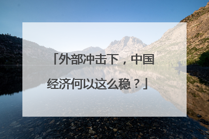 外部冲击下，中国经济何以这么稳？