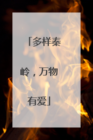 多样秦岭，万物有爱