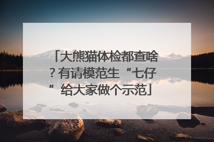 大熊猫体检都查啥？有请模范生“七仔”给大家做个示范