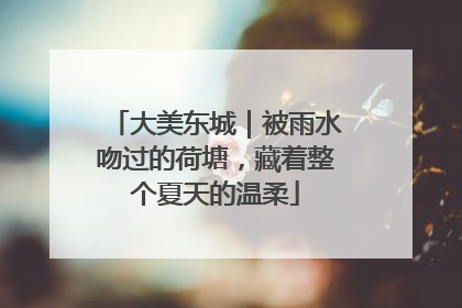 大美东城｜被雨水吻过的荷塘，藏着整个夏天的温柔