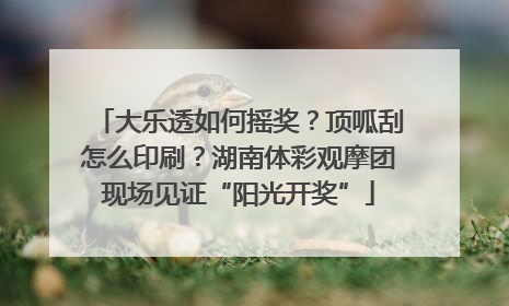 大乐透如何摇奖？顶呱刮怎么印刷？湖南体彩观摩团现场见证“阳光开奖”