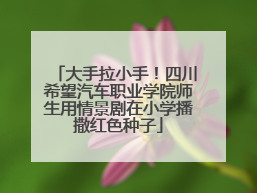 大手拉小手！四川希望汽车职业学院师生用情景剧在小学播撒红色种子
